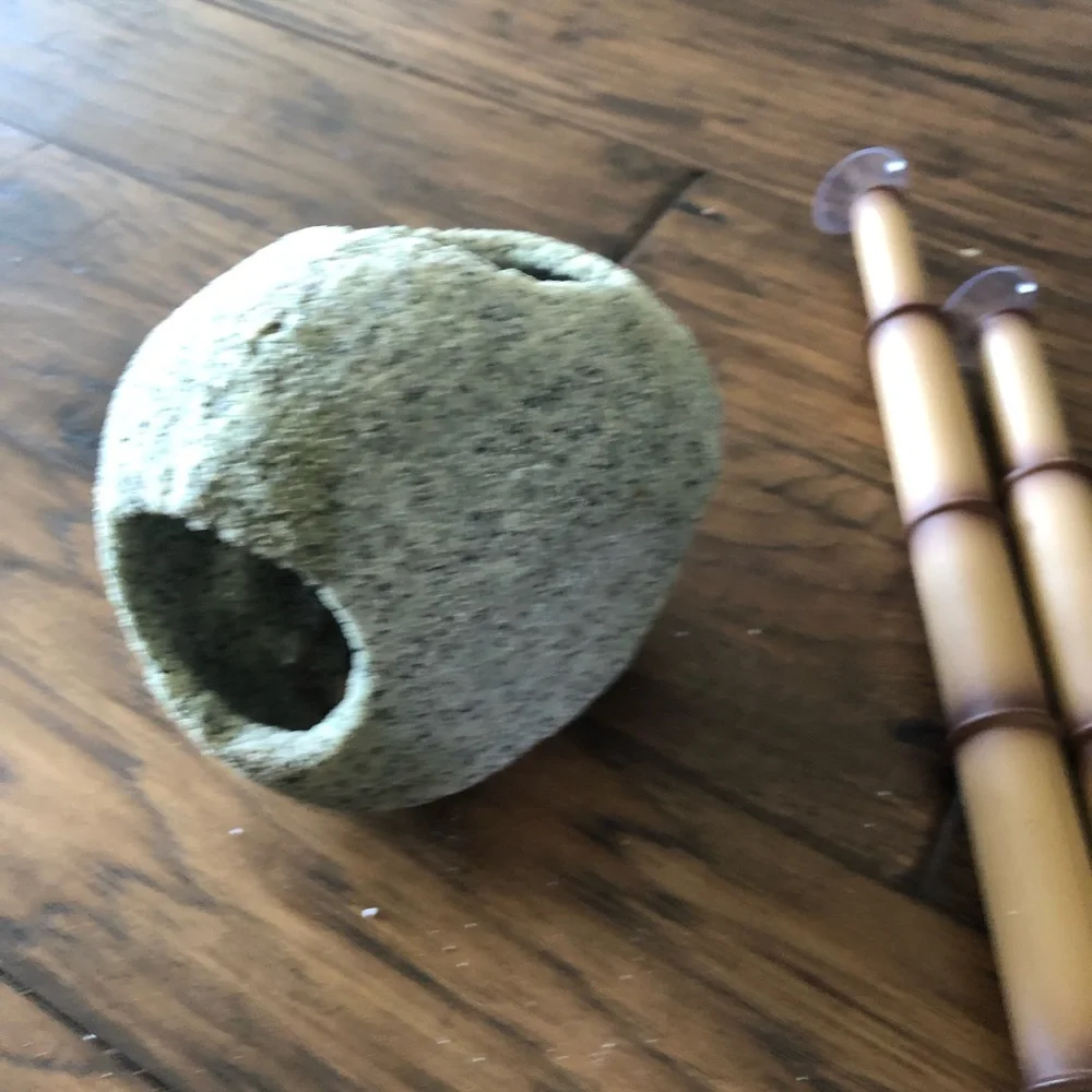 Reptile terrarium lot